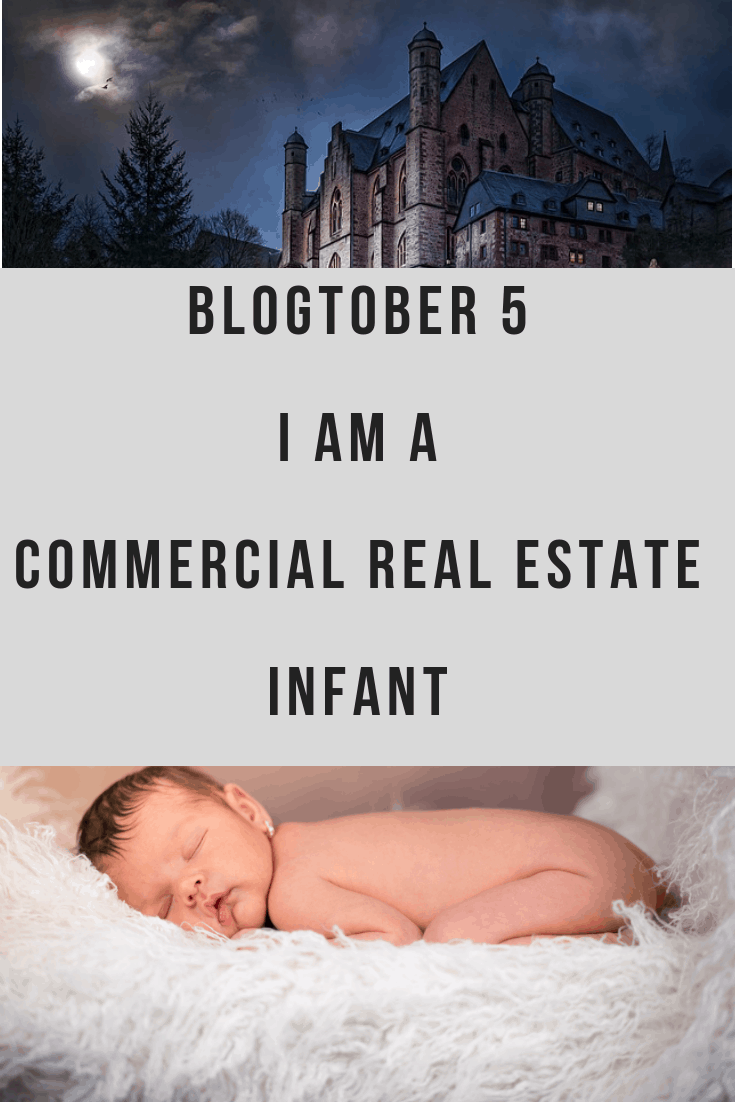 My interest in commercial real estate is blossoming. I am using this blogtober to learn the terms of commercial real estate. 