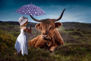 Wealth planning : Is your umbrella big enough?